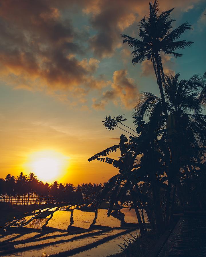 The Mayana Beach House Selemadeg  Ngoại thất bức ảnh